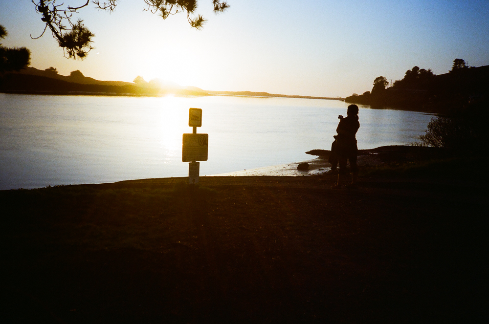 Reverse Migration